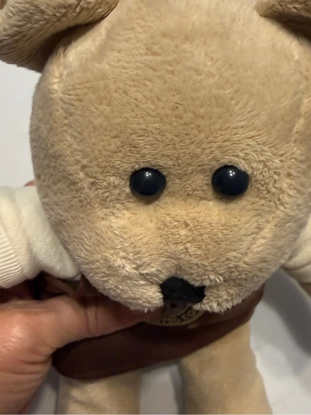 Starbucks Tan Plush Bear with Brown Apron Pet Toy 2005 Vintage